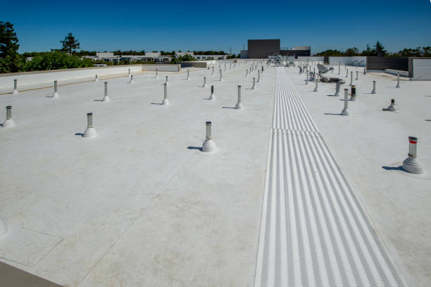 Steel Roofing in Keokea, HI